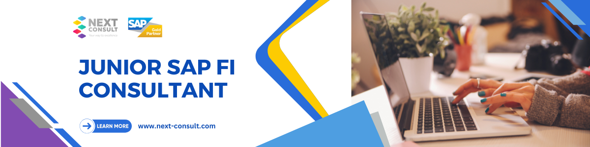 Junior SAP FI Consultant